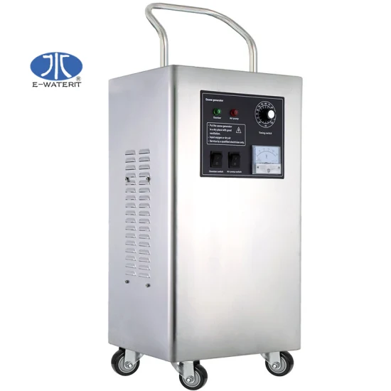 Ozone Generator for Swimming Pool Water Purification Drinking Water Treatment